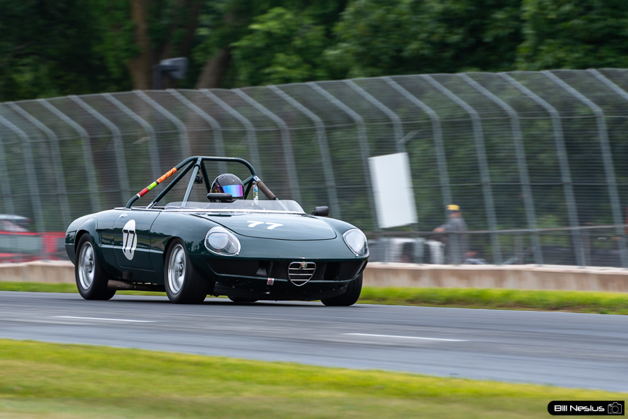 1972 Alfa Romeo Spider Number 77 / IMG_8631 / 3