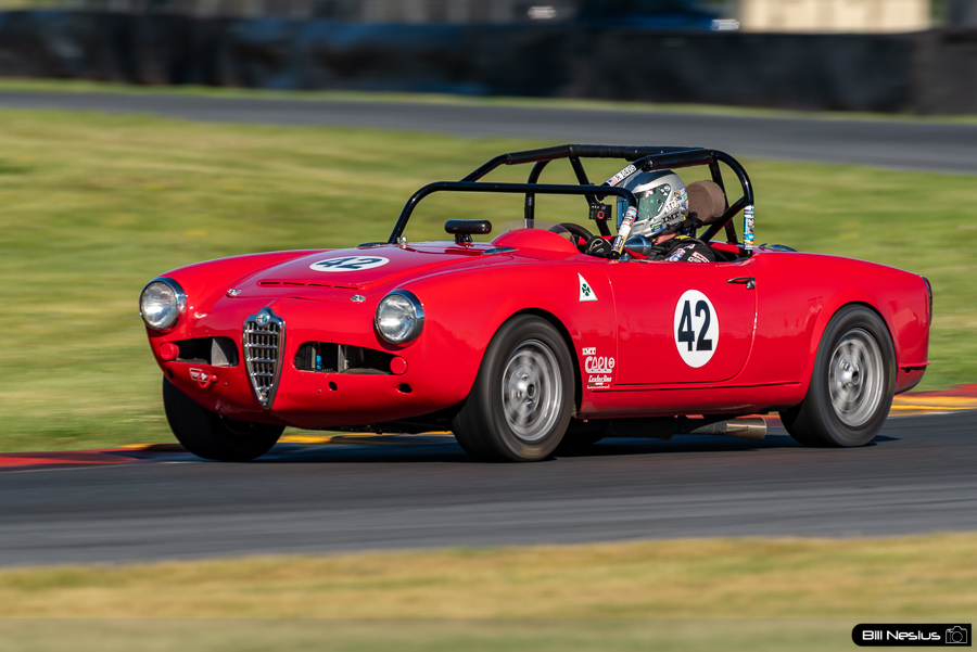 1965 Alfa Romeo Giulia Spider Number 42 / IMG_9631 / 3