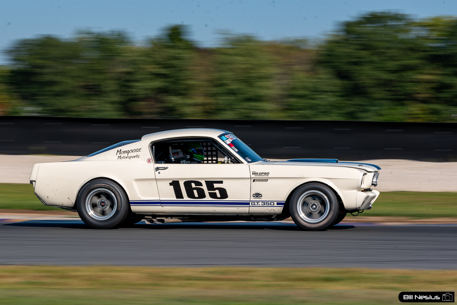  / IMG_0942 / 3