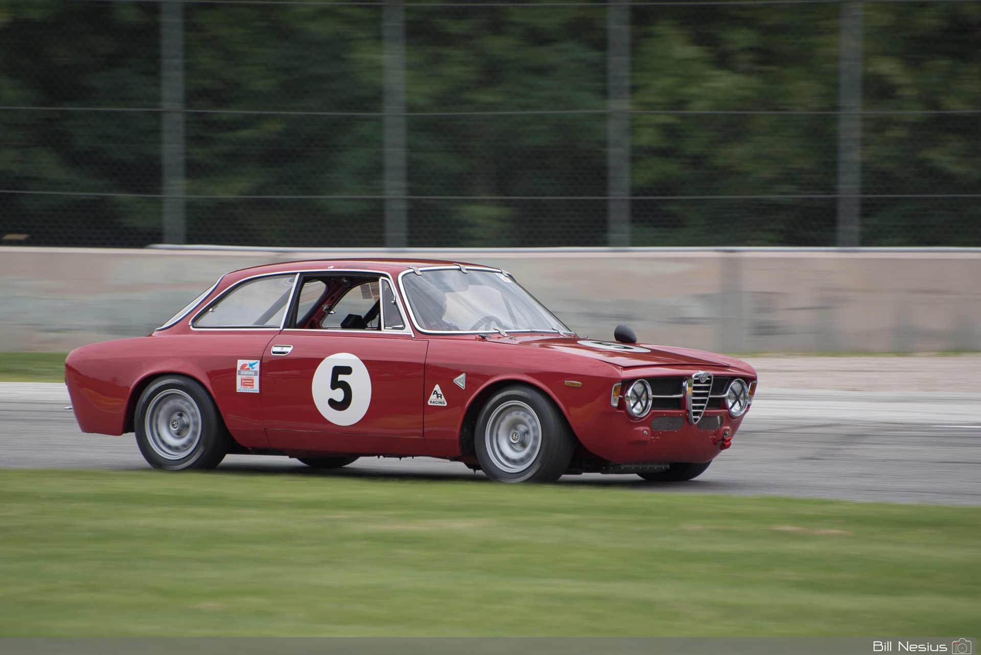 1967 Alfa Romeo GT jr #5 in turn 1 / DSC_4872 / 4