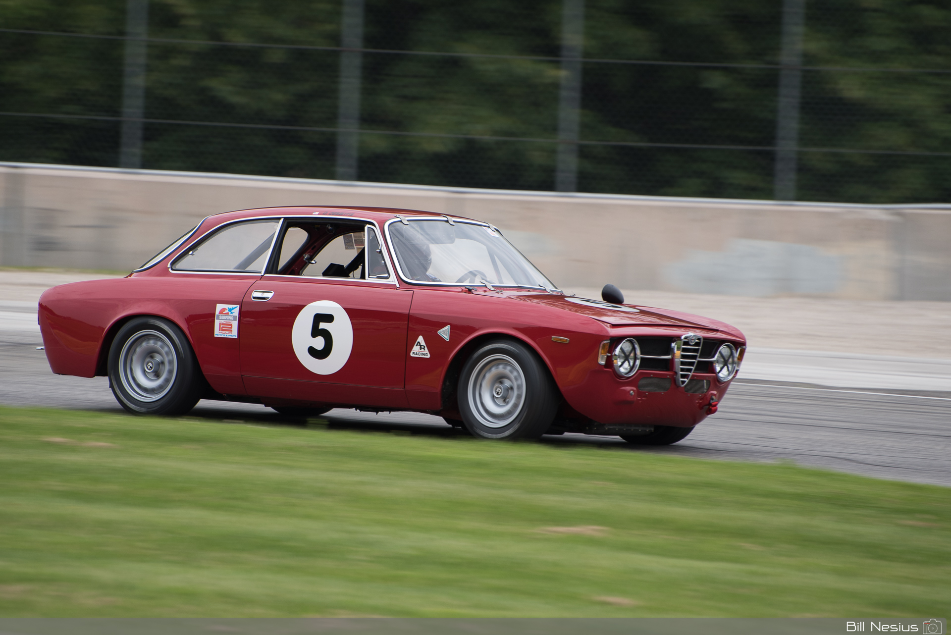 1967 Alfa Romeo GT jr #5 in turn 1 / DSC_4873 / 4