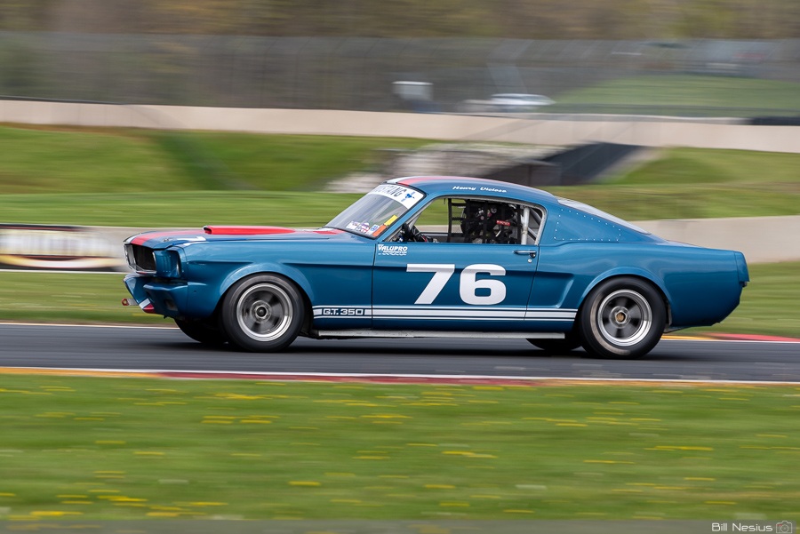 1965 Ford Mustang Shelby GT350 Number 76 / BAN_1401 / 4
