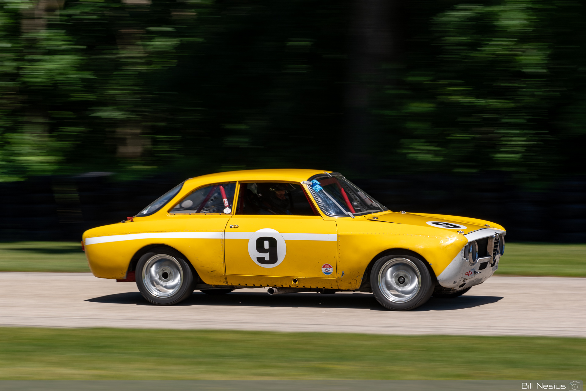 1966 Alfa Romeo GTV Number 9 / IMG_2684 / 3