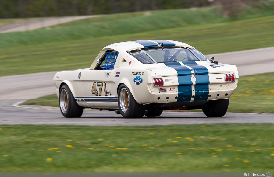1966 Ford Mustang Shelby GT350 Number 471 / DSC_0445 / 4