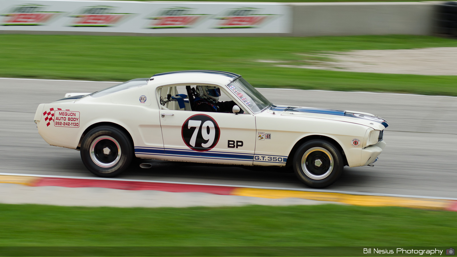Ford Mustang Shelby GT350 Number 79 / DSC_1882 / 4