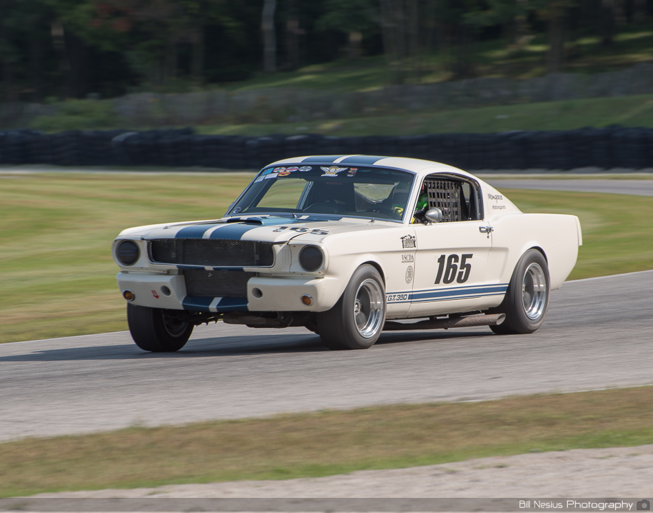Ford Shelby GT350 No. 165 at Road America, Elkhart Lake, WI Turn 9-10 ~ DSC_3761