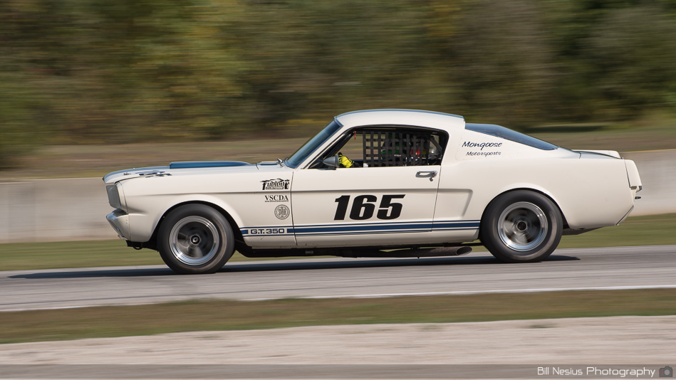 Ford Shelby GT350 No. 165 at Road America, Elkhart Lake, WI Turn 9-10 ~ DSC_3763