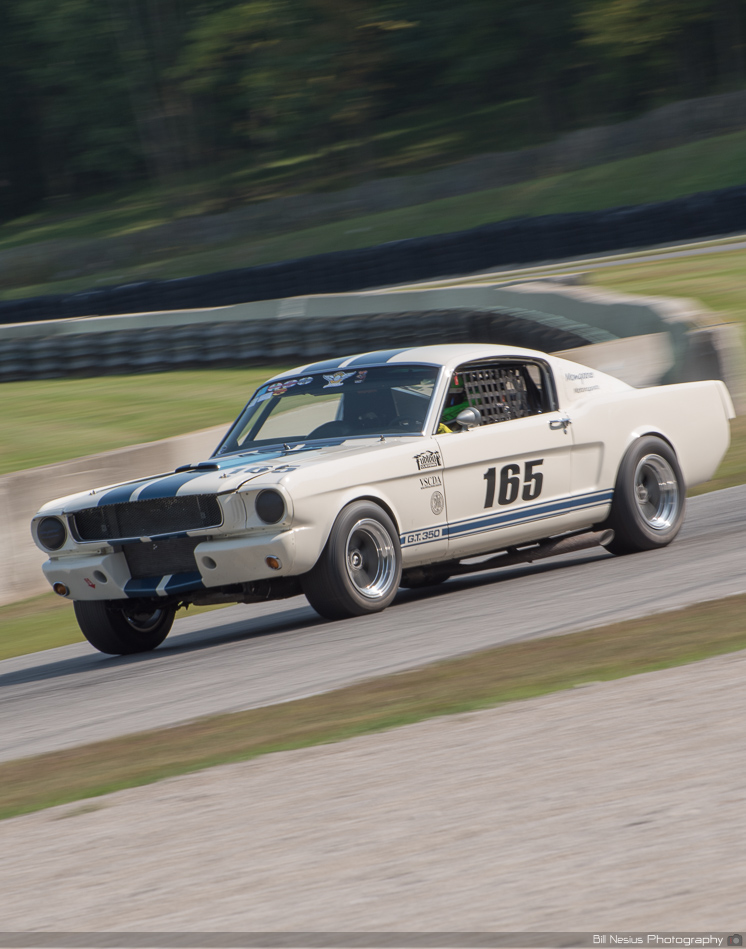 Ford Shelby GT350 No. 165 at Road America, Elkhart Lake, WI Turn 9-10 ~ DSC_3837