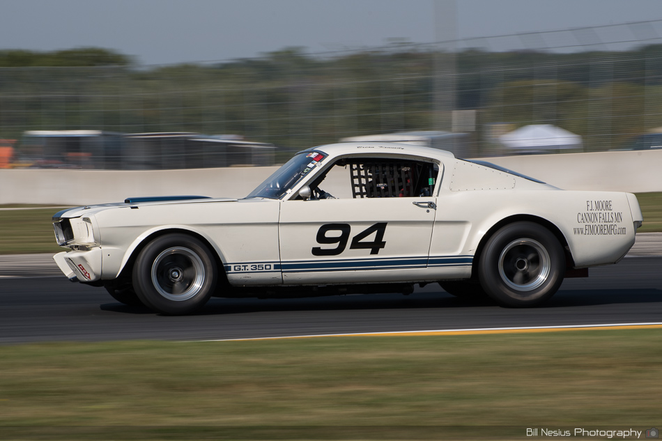 Ford Shelby GT350 No. 94 at Road America, Elkhart Lake, WI Turn 8 ~ DSC_7484