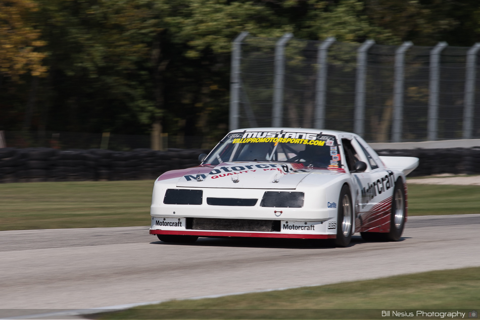 Ford Mustang No. 65 at Road America, Elkhart Lake, WI Turn 6 ~ DSC_8450