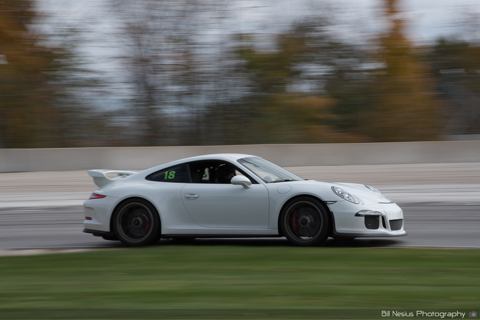Porsche 911 GT3 Number 18 ~ DSC_5020 ~ 3
