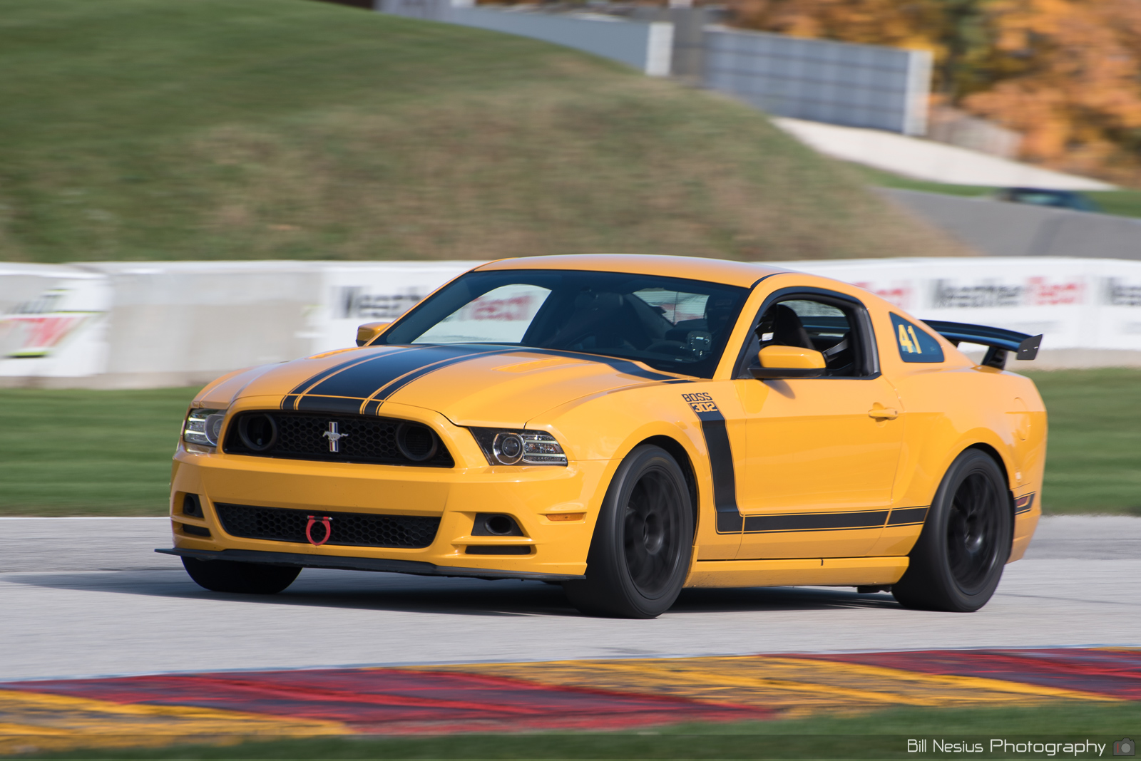 Ford Mustang Boss 302 Number 41 ~ DSC_4137 ~ 4