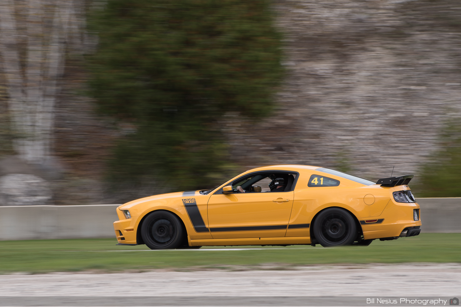 Ford Mustang Boss 302 Number 41 ~ DSC_5314 ~ 4