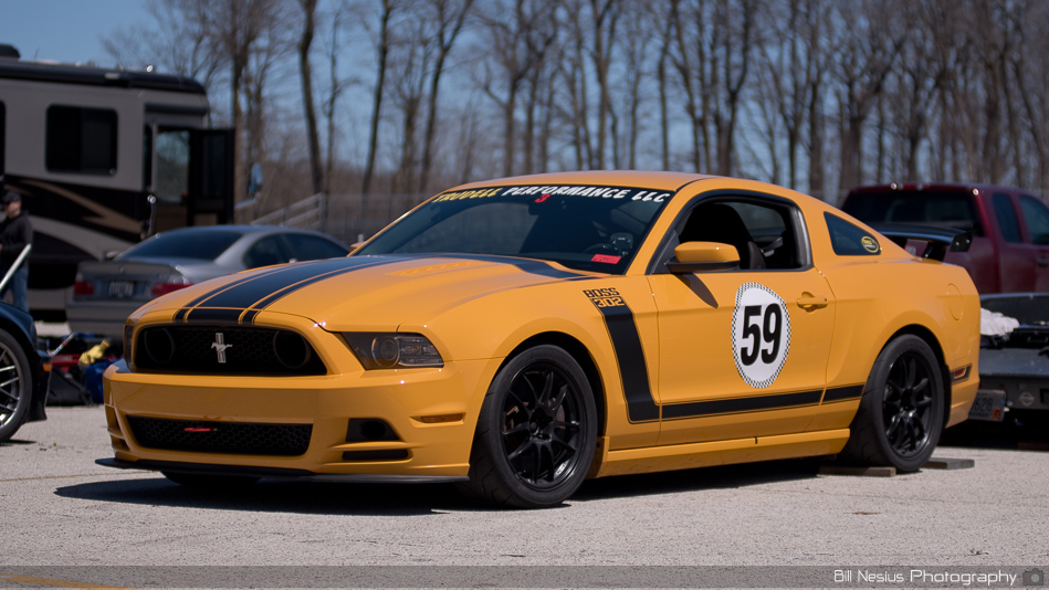 Ford Mustang Boss 302 Number 59 ~ DSC_3554 ~ 3