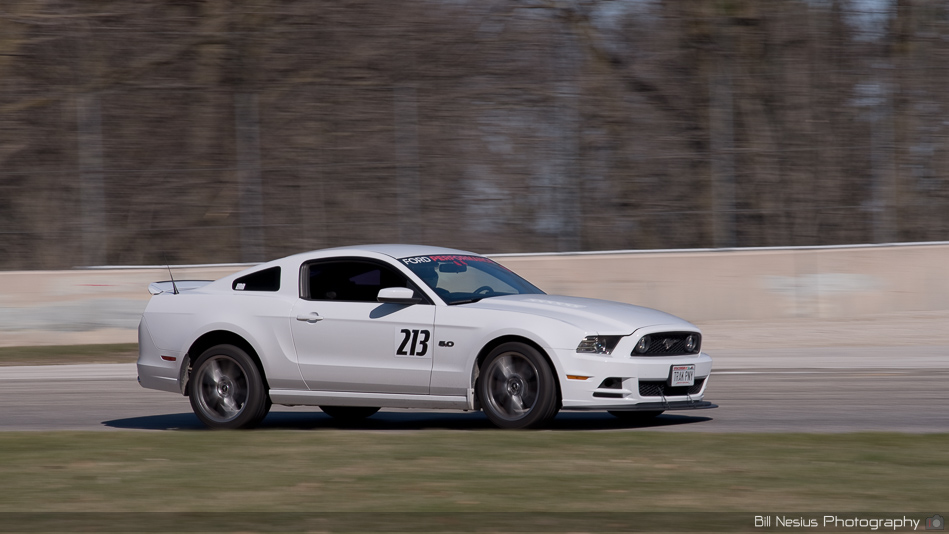 Ford Mustang Number 213 in turn 1 ~ DSC_5010 ~ 4
