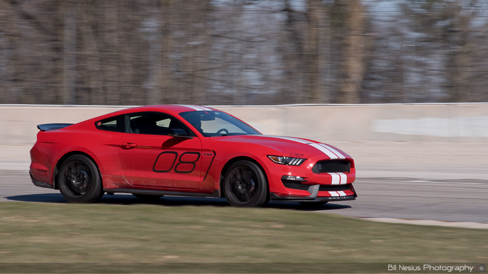 Ford Mustang Number 08 in turn 1 ~ DSC_5015 ~ 4