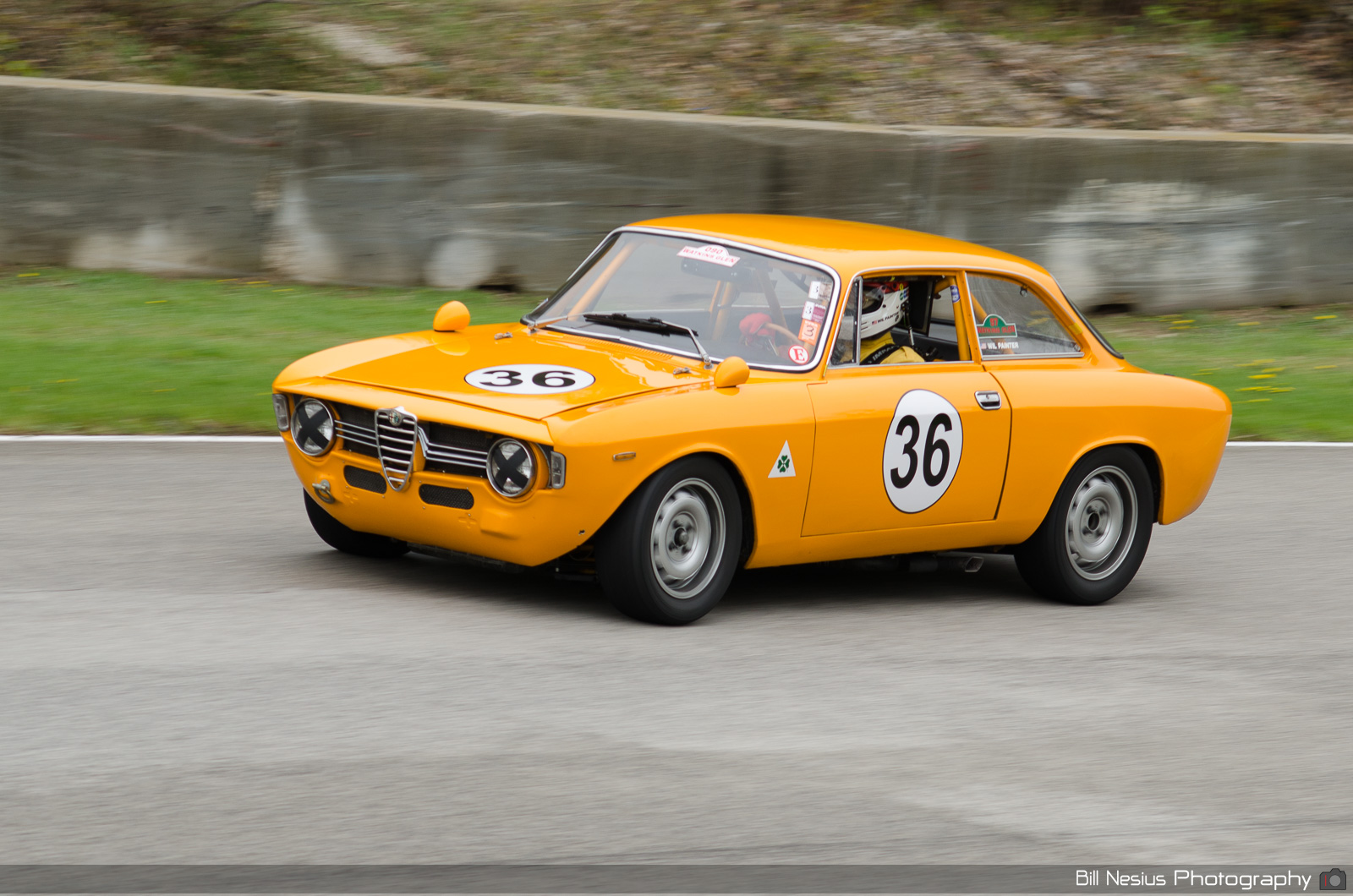 Alfa Romeo Number 36 / DSC_9661 / 