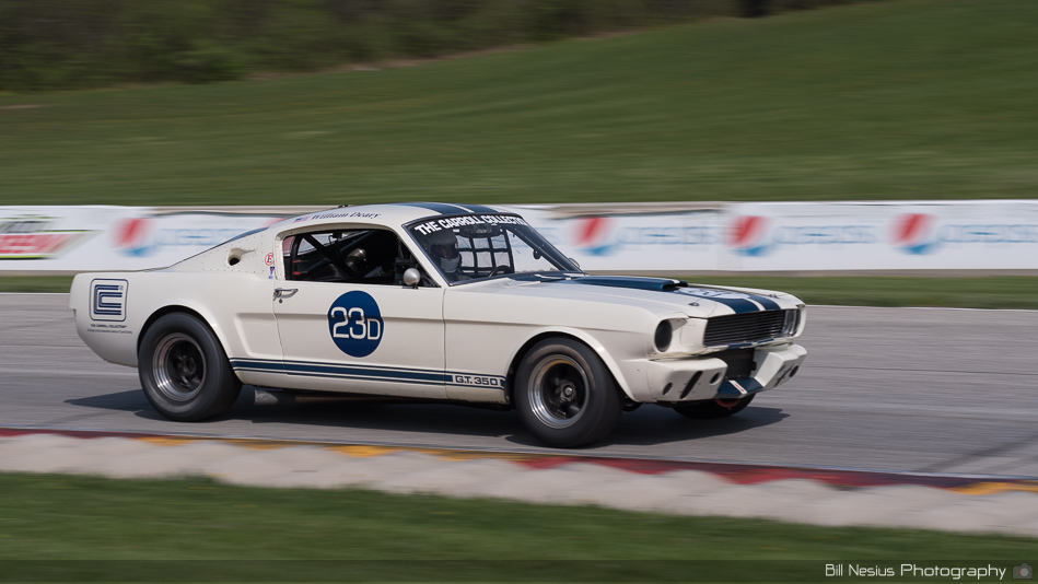1966 Ford Mustang Shelby GT350 Number 23  ~ DSC_8118 ~ 4