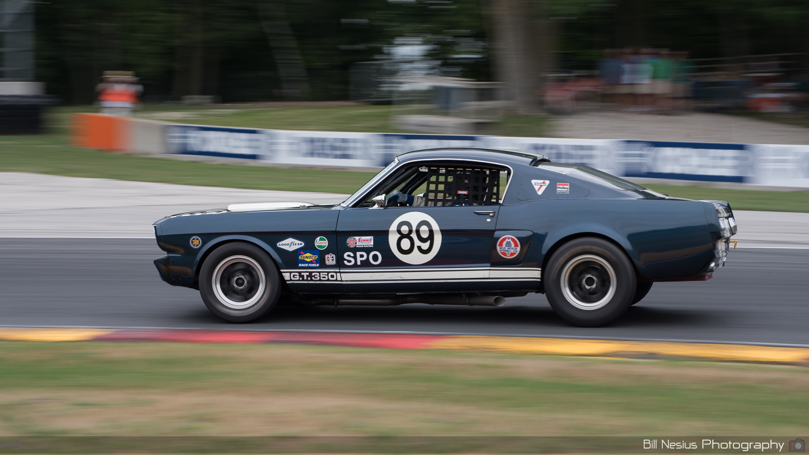Ford Mustang Shelby GT350 Number 89 ~ DSC_3307 ~ 4