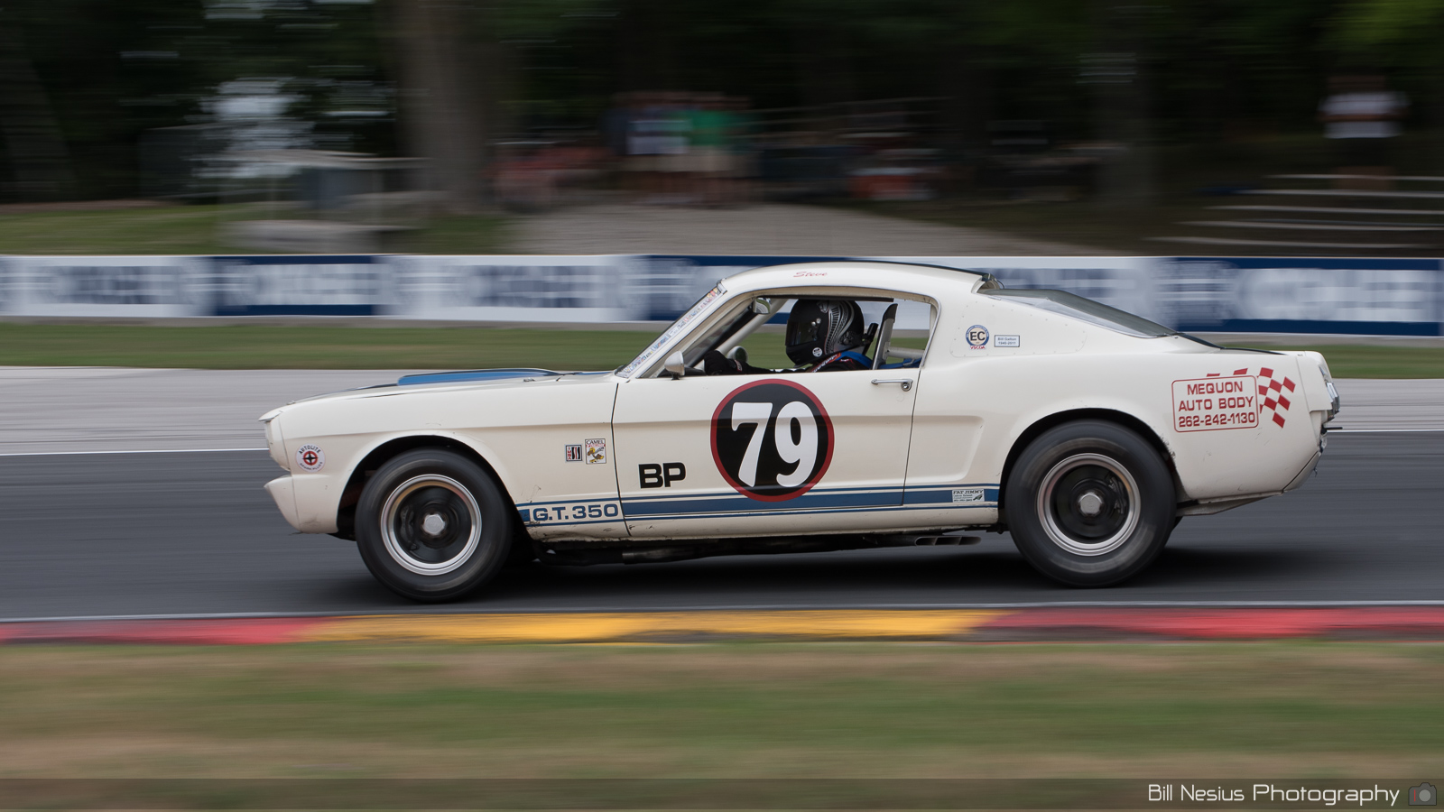 Ford Mustang Shelby GT350 Number 79 ~ DSC_3409 ~ 5