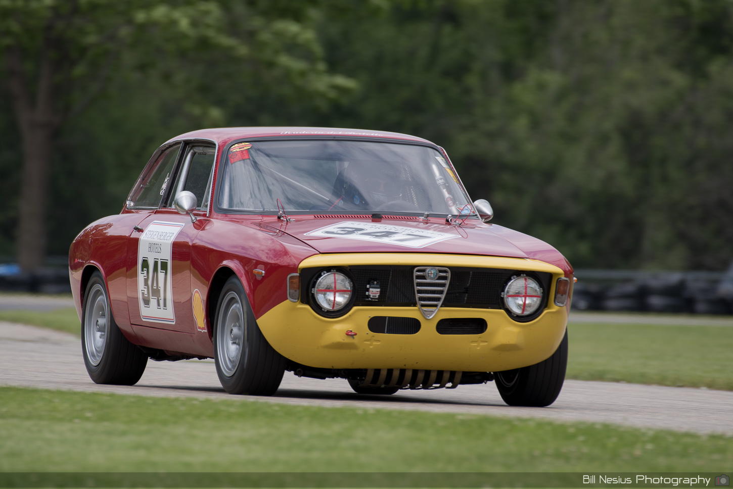 Alfa Romeo GTA Number 347 ~ DSC_4601