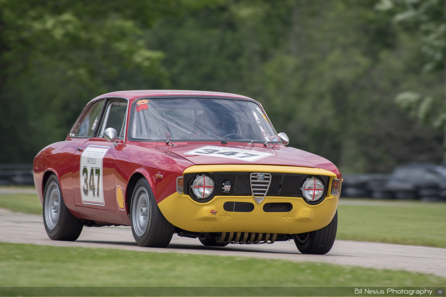 Alfa Romeo GTA Number 347 ~ DSC_4632