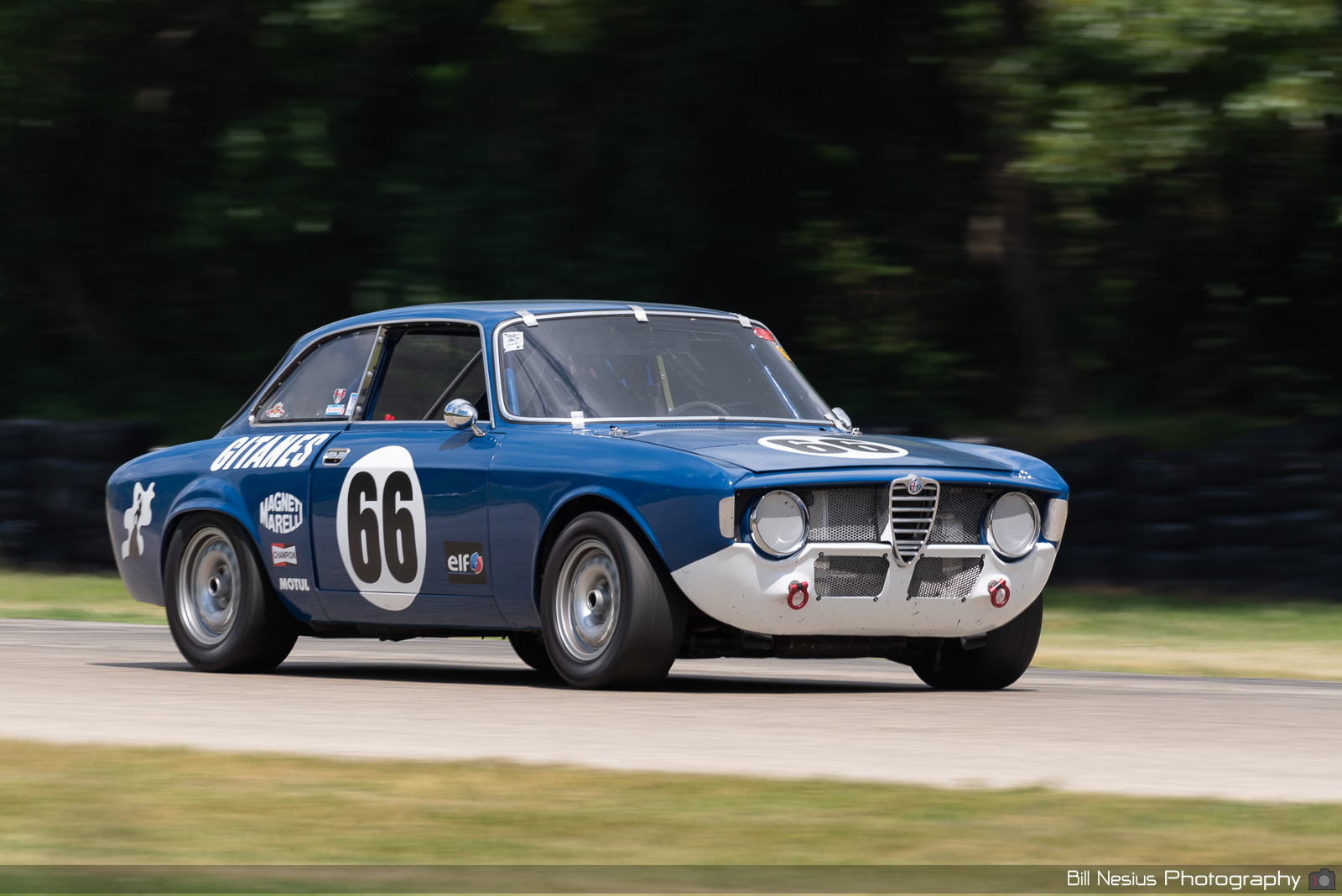 1966 Alfa Romeo GTV Number 66 / DSC_1379 / 4
