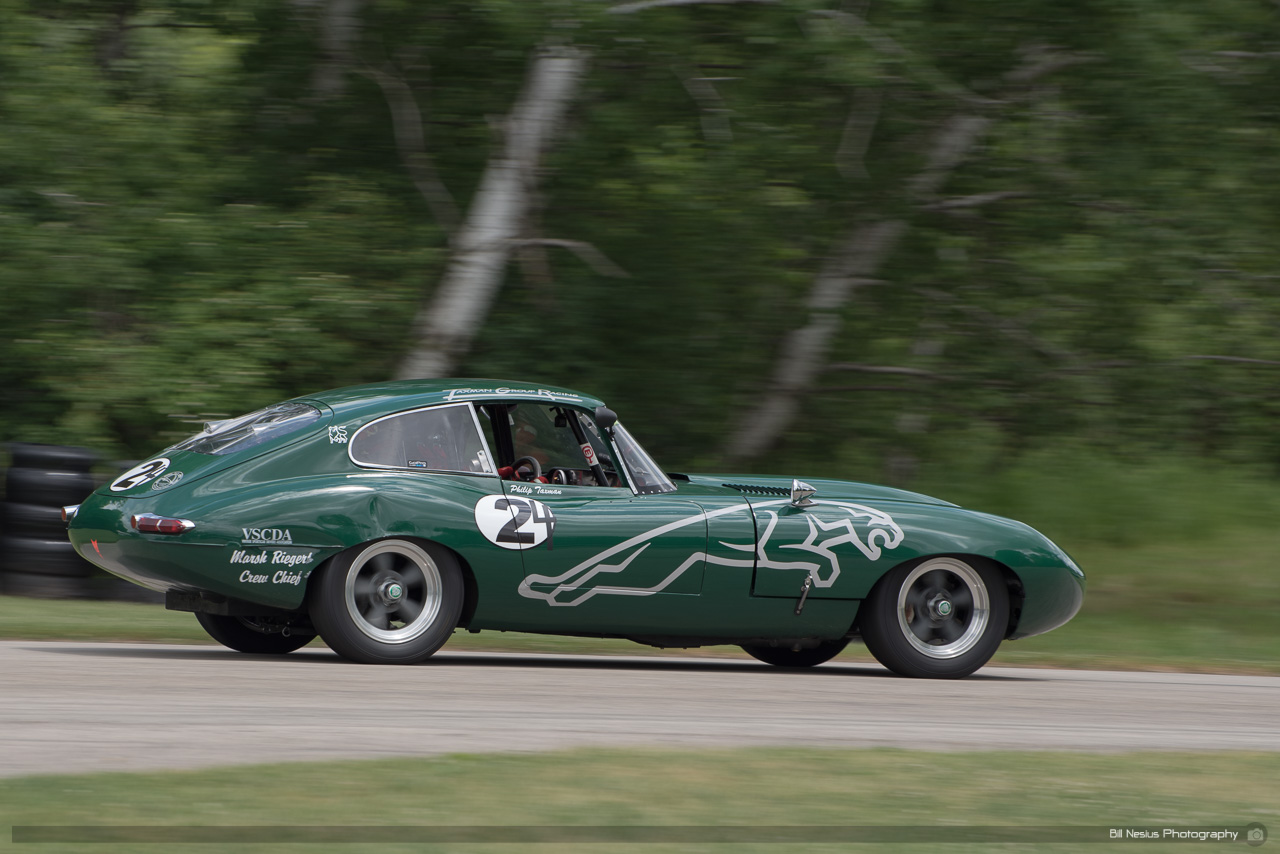 Jaguar #24 ~ DSC_1050