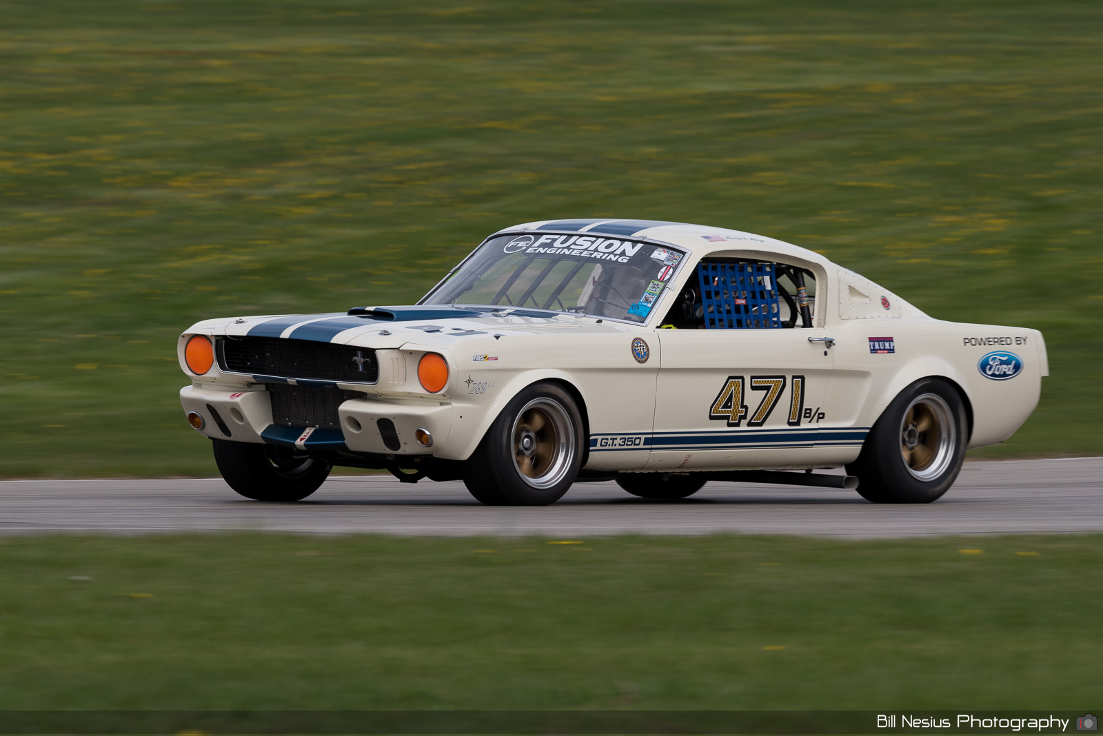 1966 Ford Mustang Shelby GT350 Number 471 / DSC_0500 / 4