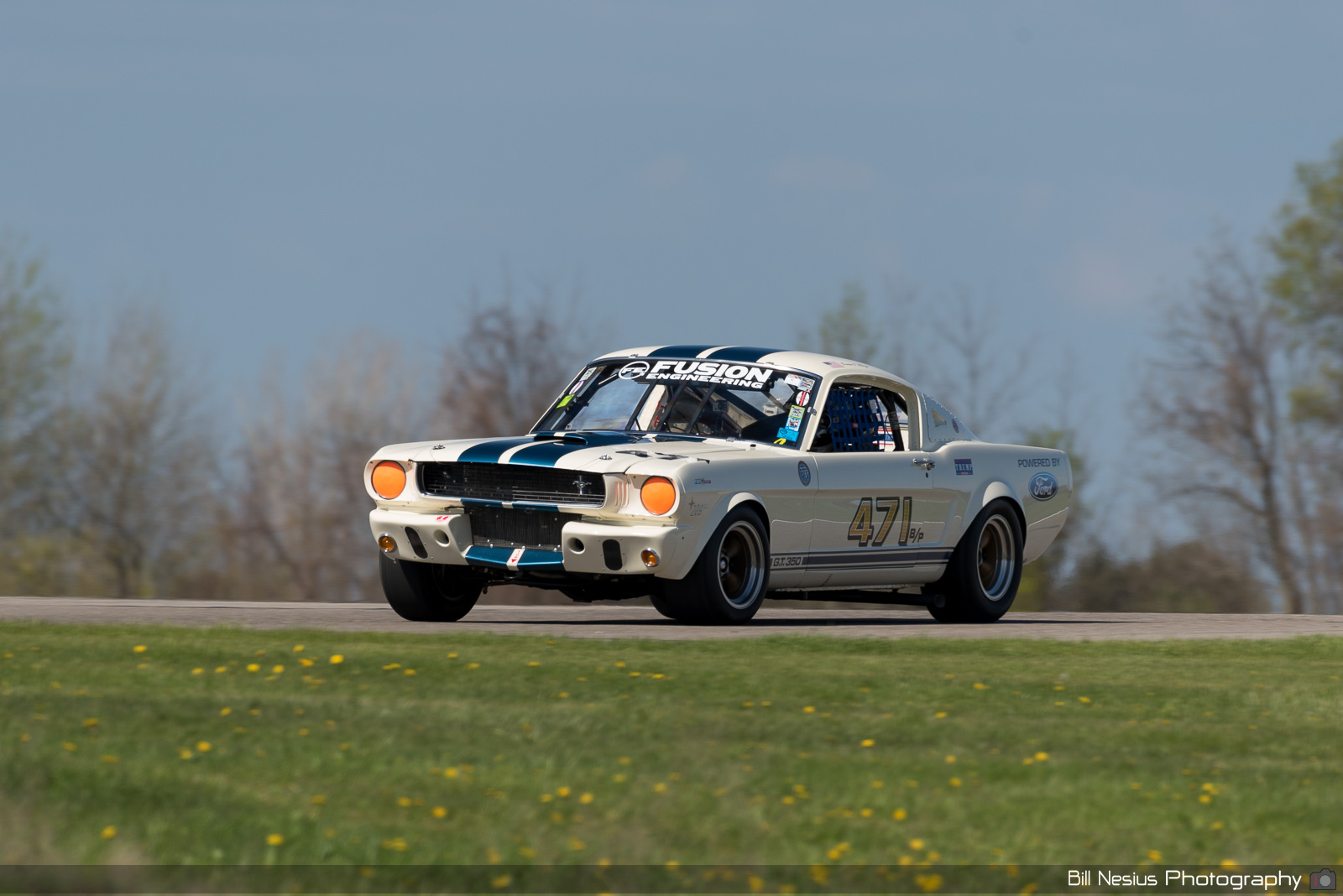 1966 Ford Mustang Shelby GT350 Number 471 / DSC_7898 / 3