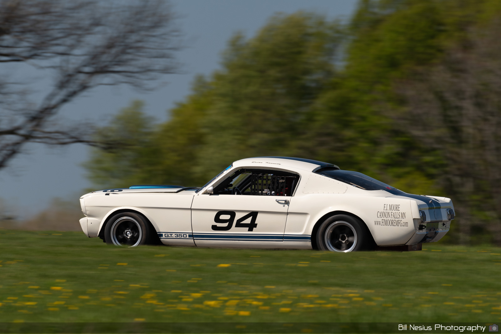 1966 Ford Mustang Shelby GT350 Number 94 / DSC_8068 / 3