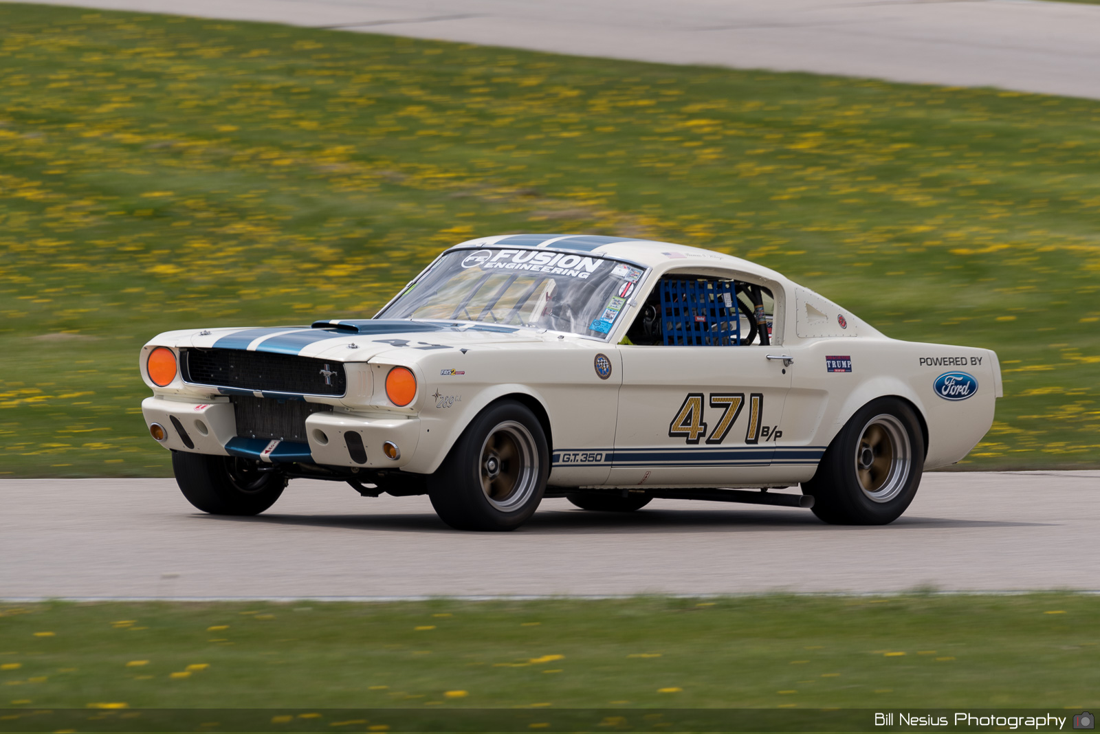 1966 Ford Mustang Shelby GT350 Number 471 / DSC_8891 / 4