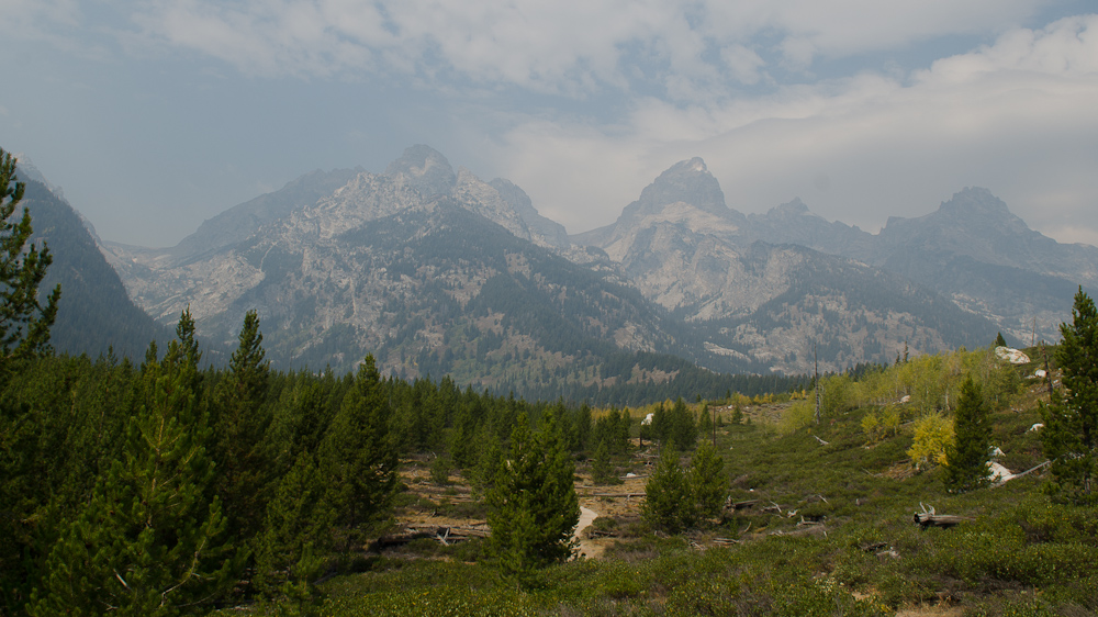 The trail to Taggart Lake, Grand Teton National Park, WY  ~  DSC_4156