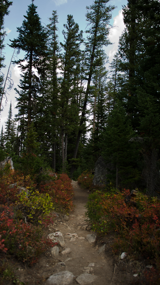 Trail towards Bradley Lake, Grand Teton National Park, WY  ~  DSC_4265