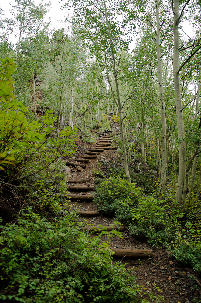 The path to Hayden trail / DSC_6763