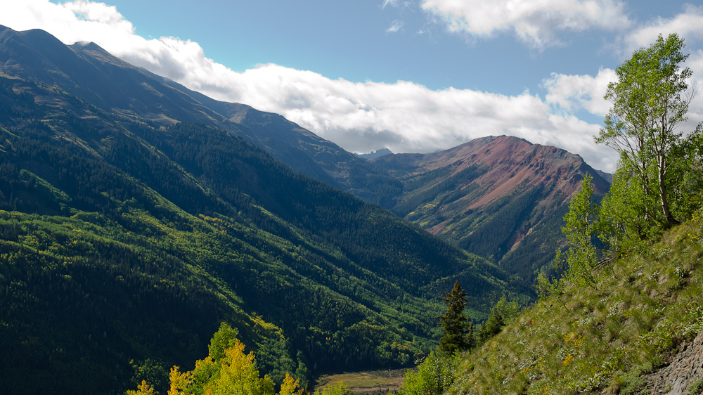 Uncompahgre National forest off South of Ouray, CO / DSC_6910