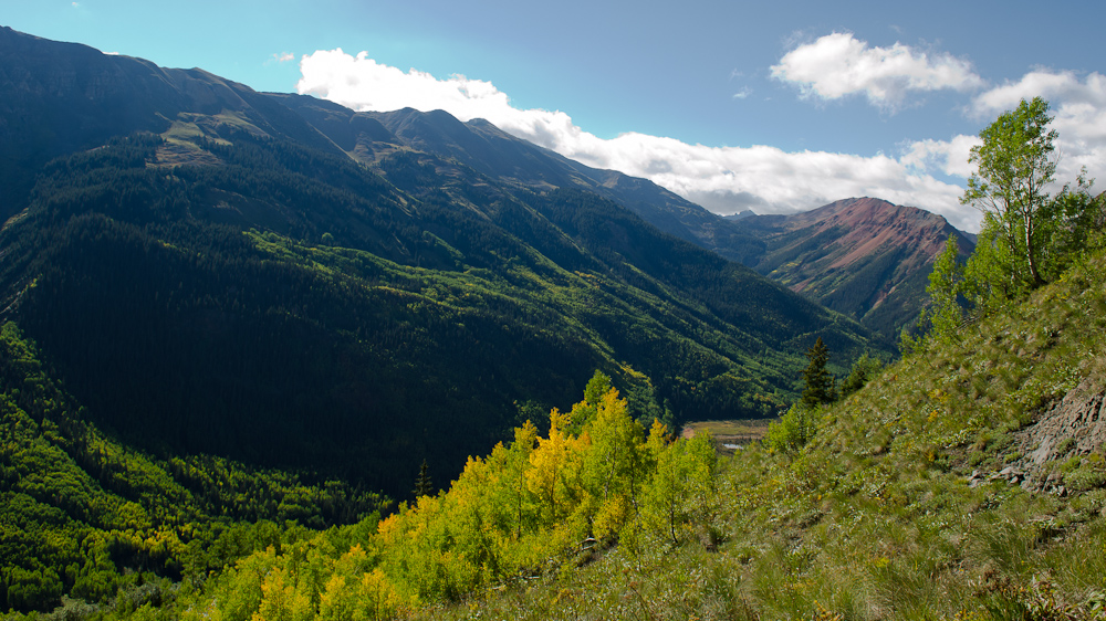 Uncompahgre National forest South of Ouray, CO / DSC_6911