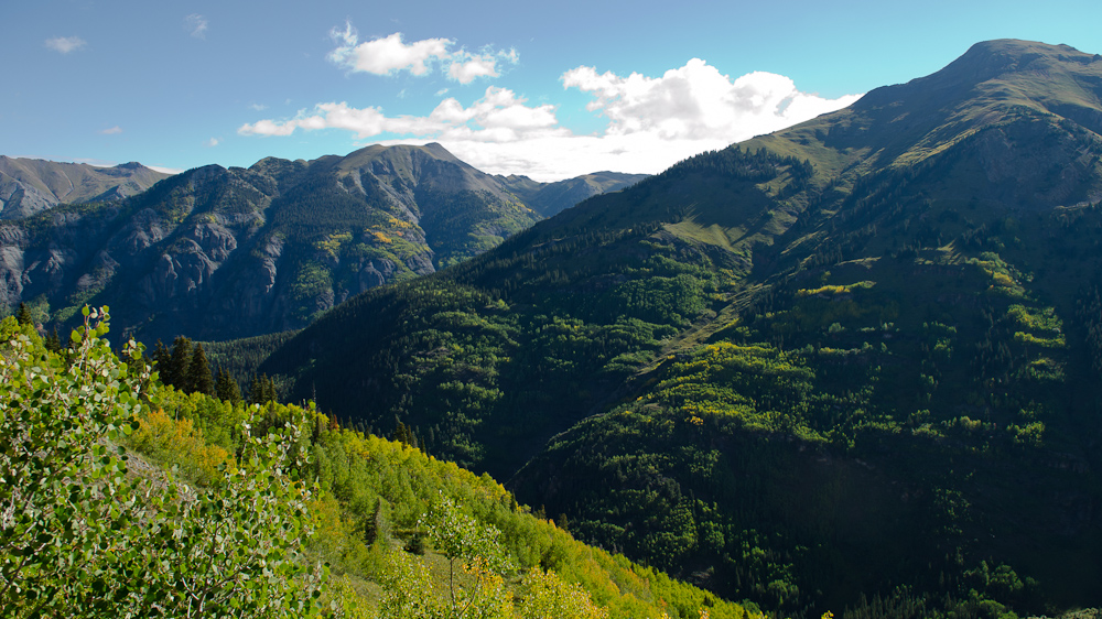 Uncompahgre National forest South of Ouray, CO / DSC_6926