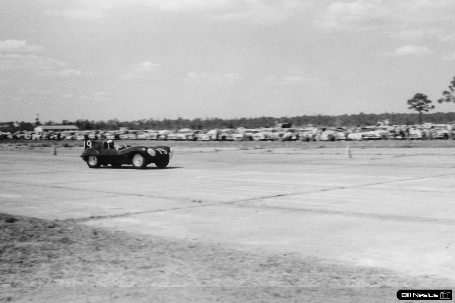 Jaguar D-type Number 19 driven by Hawthorn / Walters at Sebring March, 13 1955 / 114L_0004 / 