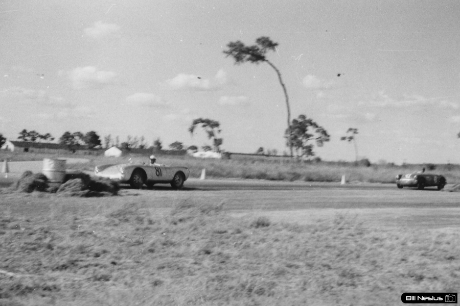 Porsche 550 Number 81 driven by O'Shea / Koster at Sebring March, 13 1955 / 114L_0031 / 