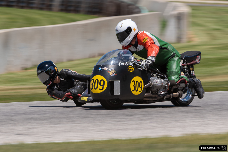 BMW sidecar Number 309 / DSC_5599 / 4