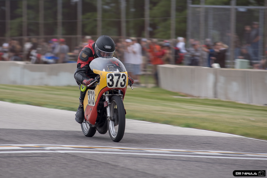 Number 373 / DSC_9356 / 4