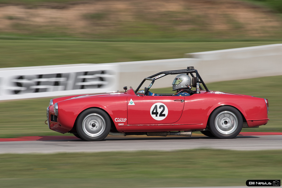 1965 Alfa Romeo Giulia Spider #42 in turn 7 / DSC_3450 / 4