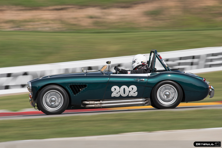 1966 Austin Healey 3000 Number 202 / DSC_3516 / 4