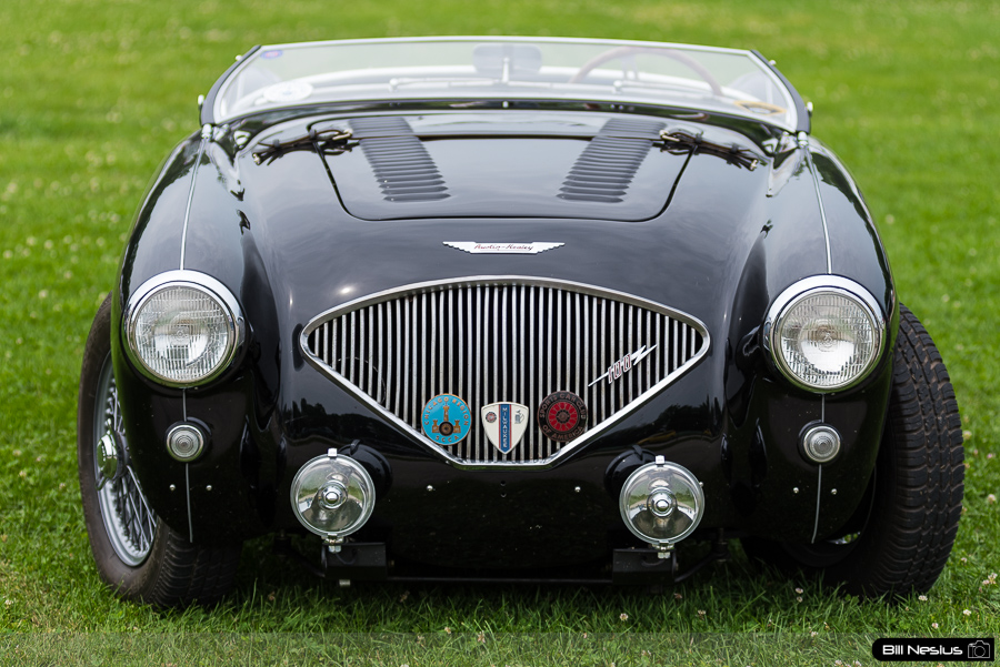 Austin Healey 100/4 / DSC_4389 / 4