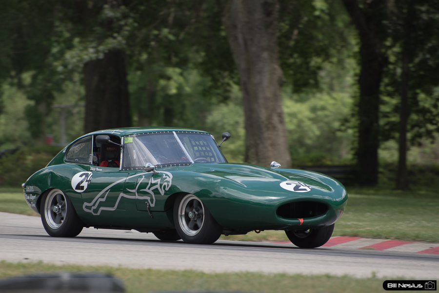 Jaguar #24 / DSC_0740 / 3