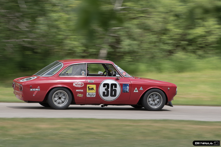 Alfa #36 / DSC_0911 / 4