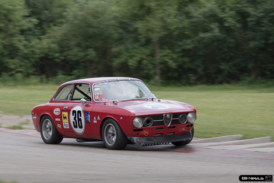 Alfa #36 / DSC_1713 / 4