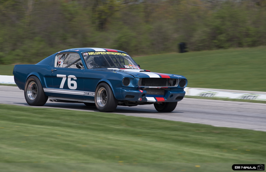 1965 Ford Mustang Shelby GT350 Number 76 / DSC_8138 / 4