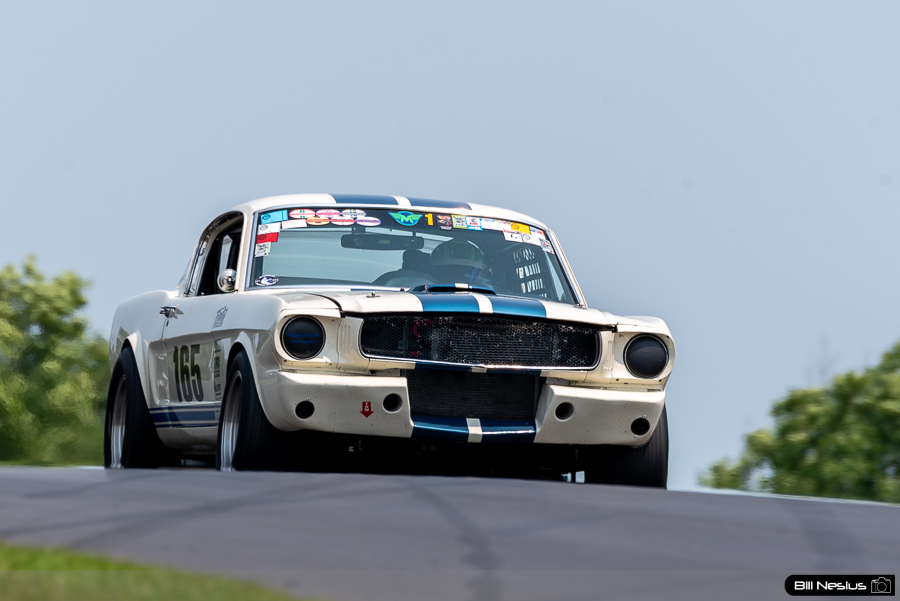 1965 Ford Mustang Shelby GT350 Number 165 / DSC_3932 / 4